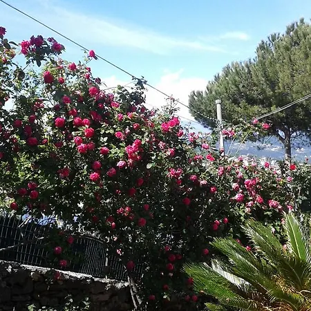 Appartement Tre Pini La Spezia
