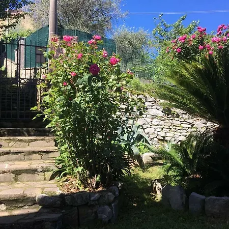 Tre Pini